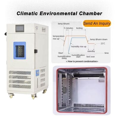 Liyi Customized Environmental Chambers Temperature and Humidity Control Cabinet Conditioning Chamber