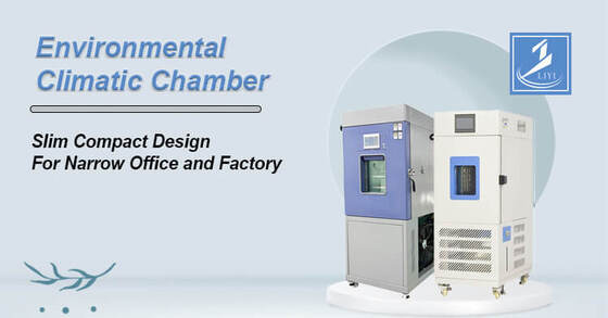 Liyi Customized Environmental Chambers Temperature and Humidity Control Cabinet Conditioning Chamber