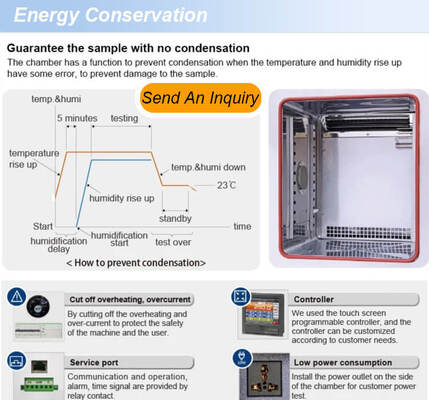 Liyi Customized Environmental Chambers Temperature and Humidity Control Cabinet Conditioning Chamber