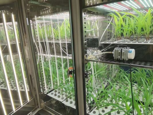 Liyi Plant Growth Chamber Artificial Climate Seed Germination Machine Plant Growth Box Incubator
